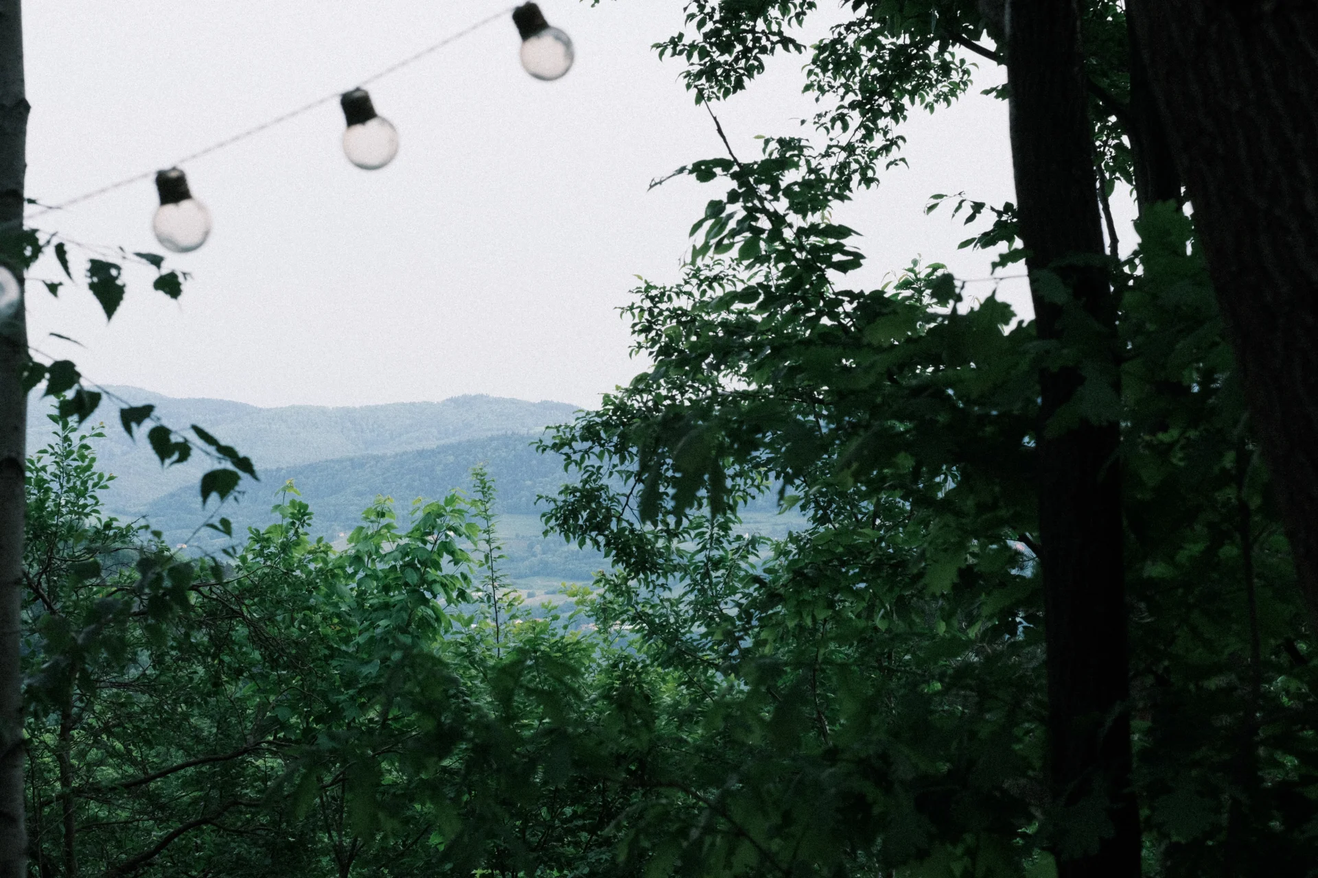 DSCF5196.webp
