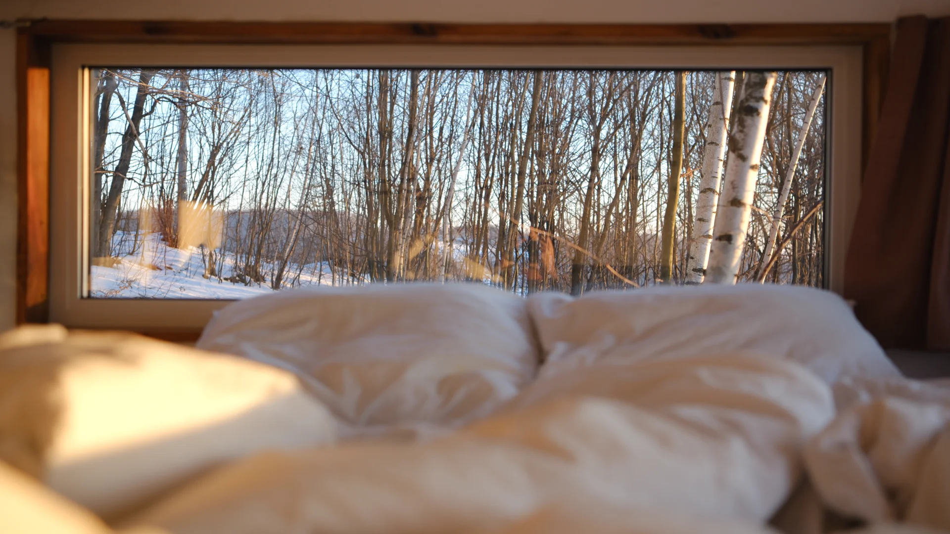 DSCF7439.webp