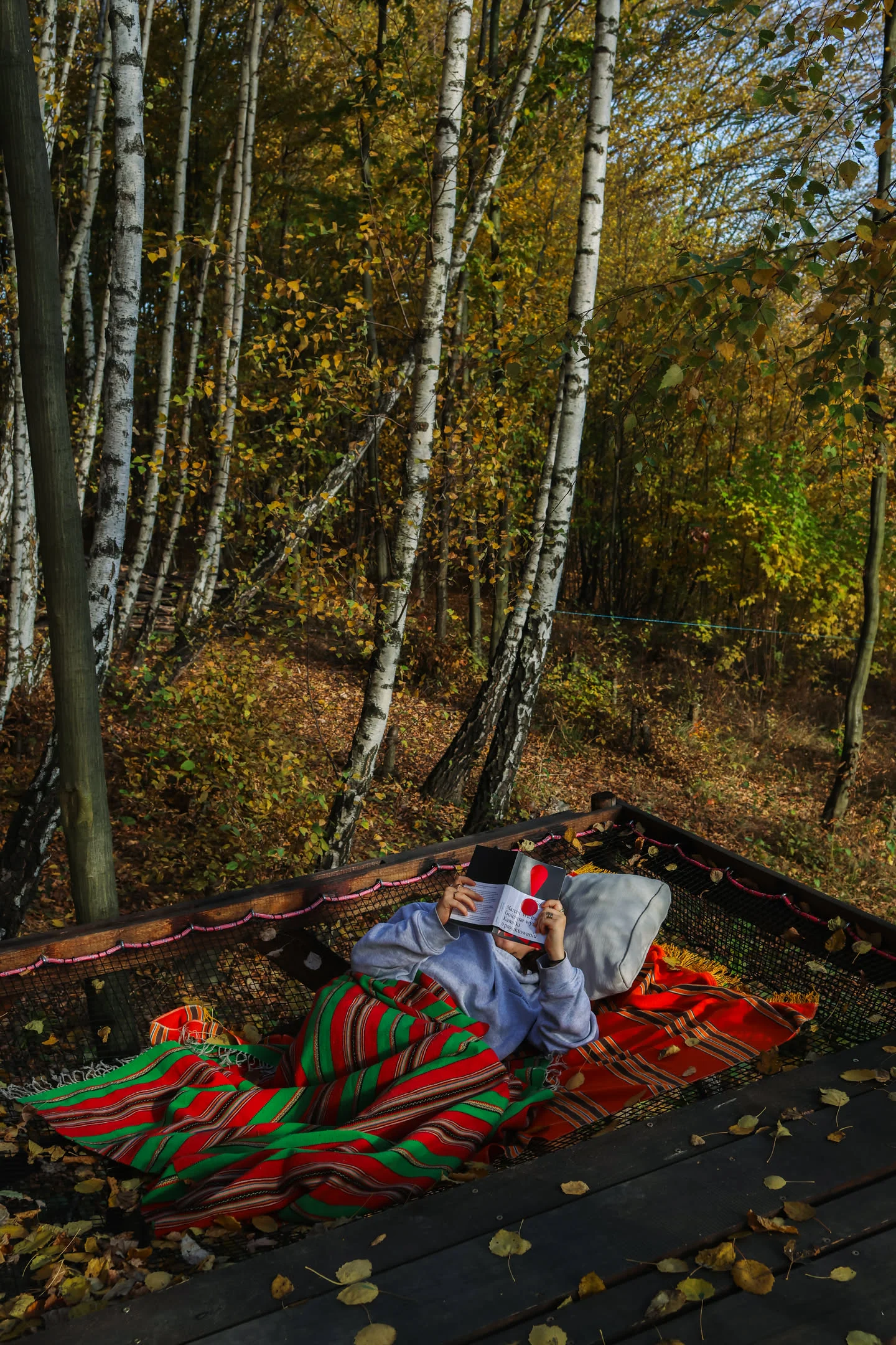 tinyhouse_hammock.webp
